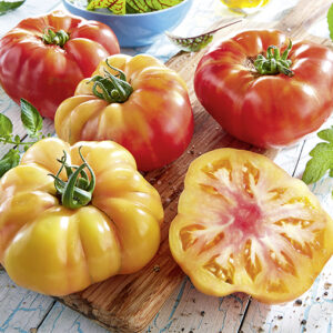 Ananas Tomate - Französische Selektion