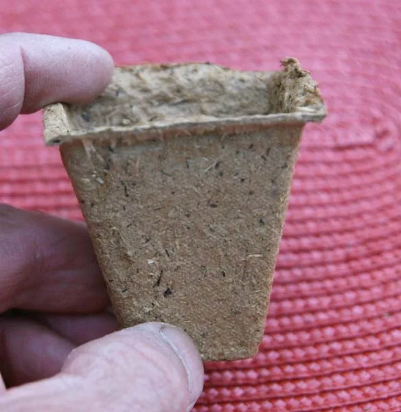 Anzuchttöpfe eckig, 5 cm (36 Stück)