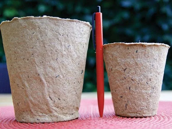 Anzuchttöpfe rund, 11 cm (10 Stück)