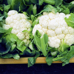 Blumenkohl Candid Charm F1