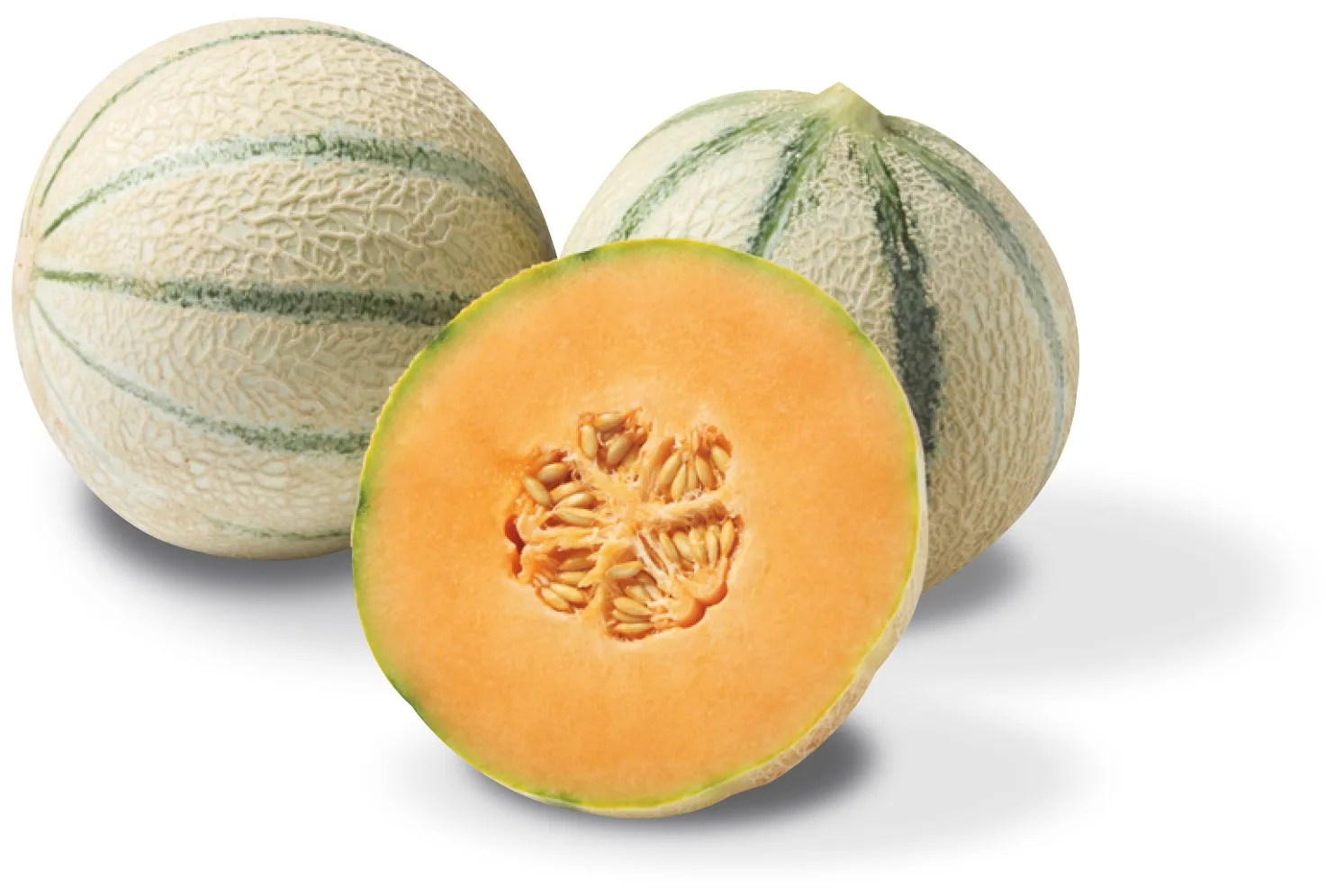 Charentais-Melonensamen Century F1