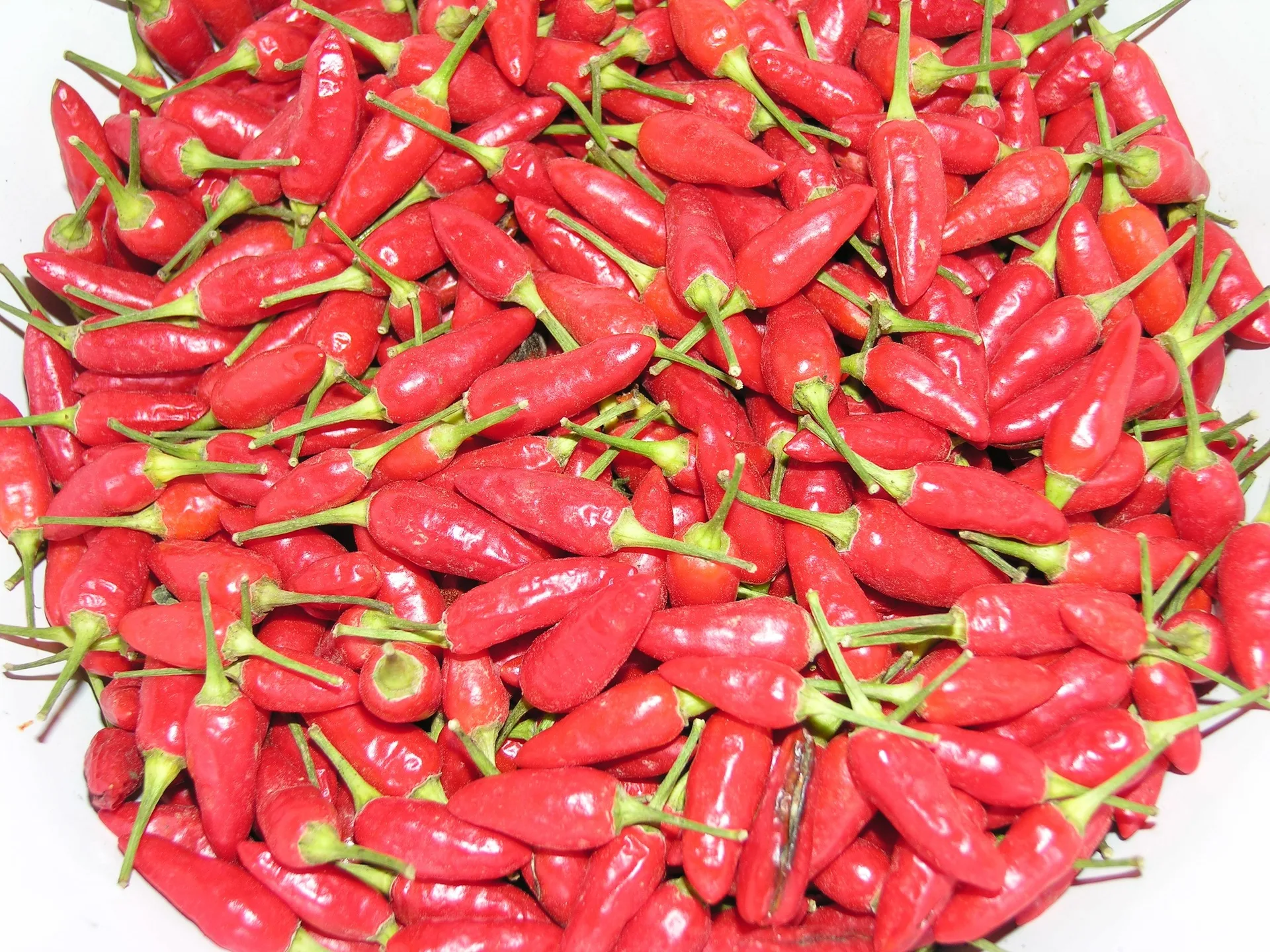 Chilisamen Prairie Fire Bio Demeter