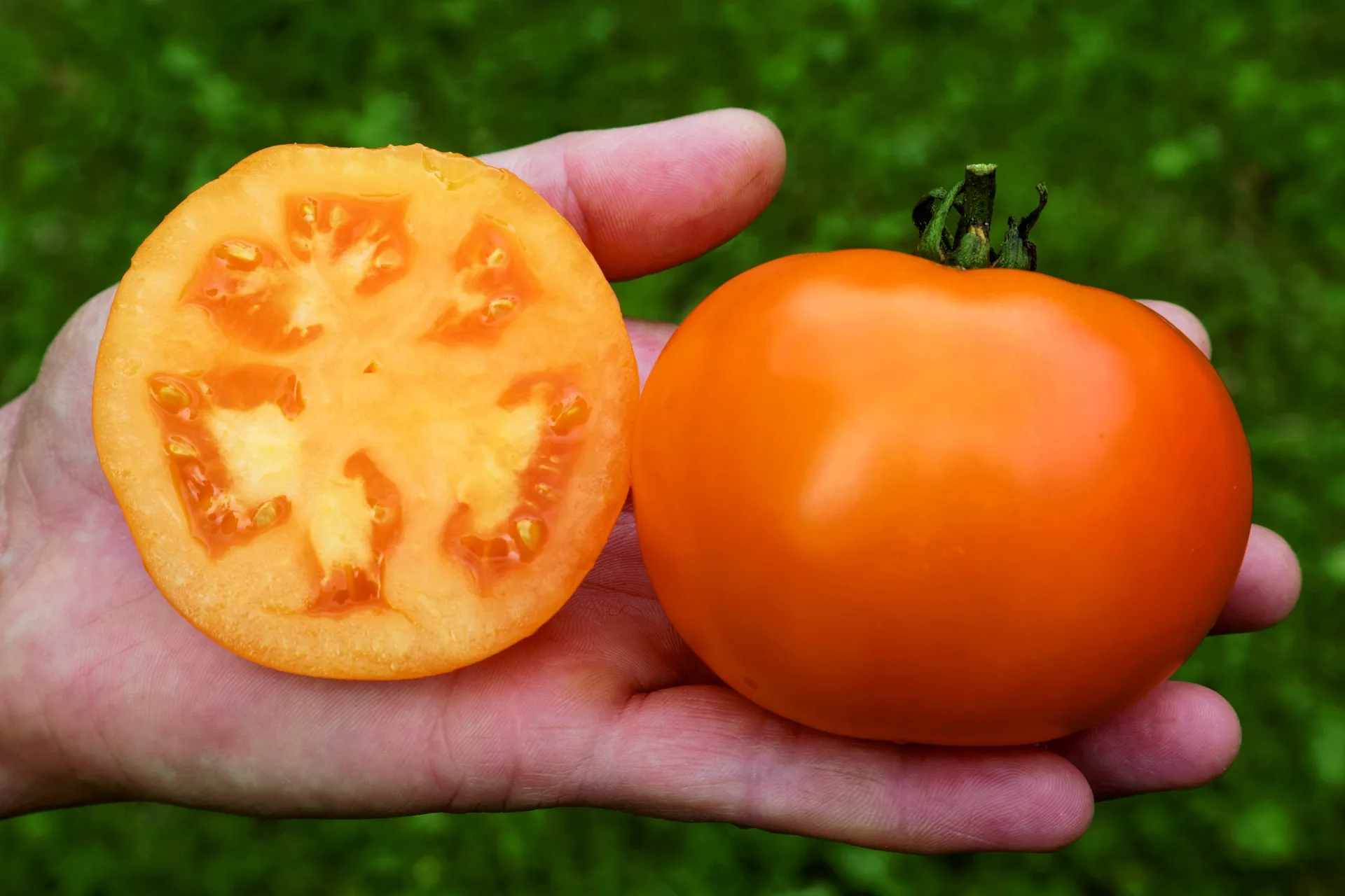 Fleischtomate Mandaline Bio Demeter