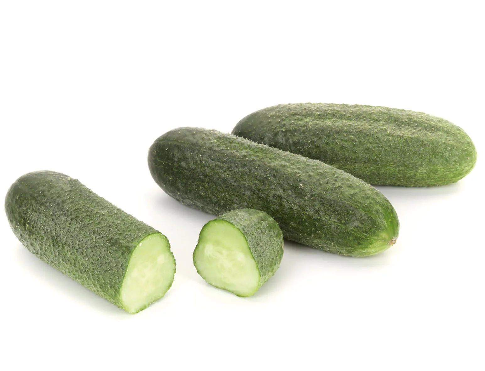 Gurke Majestosa F1