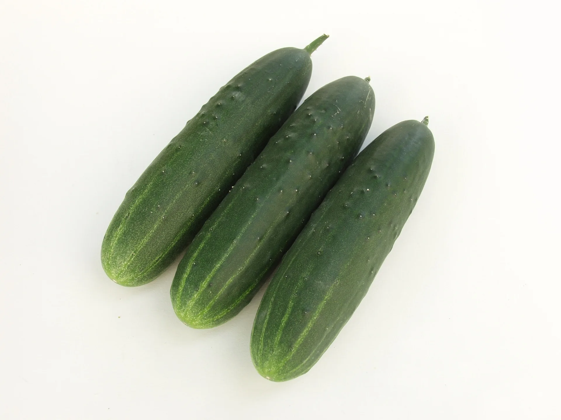 Gurke Swing F1 (Freiland-Salatgurke)