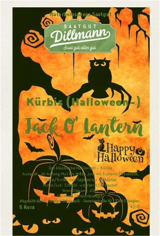 Kürbis (Halloween) Jack O´ Lantern Eule (5 Korn)
