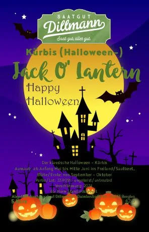 Kürbis (Halloween) Jack O´ Lantern Haus (5 Korn)