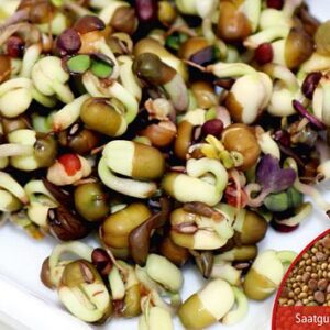 Keimsprossen Pikant-aromatische Mischung Bio