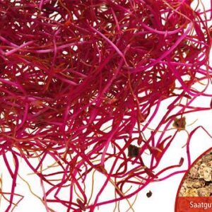 Keimsprossen Rote Beete Bio