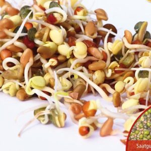 Keimsprossen Wellness-Mischung Bio