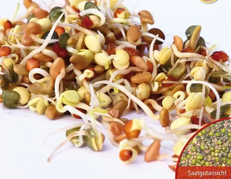 Keimsprossen Wellness-Mischung Bio