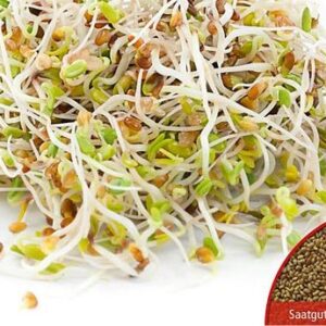 Keimsprossensamen Alfalfa Bio