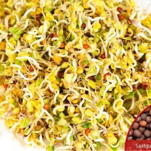 Keimsprossensamen Brokkoli Bio