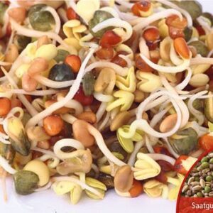 Keimsprossensamen Fitnessmischung Bio