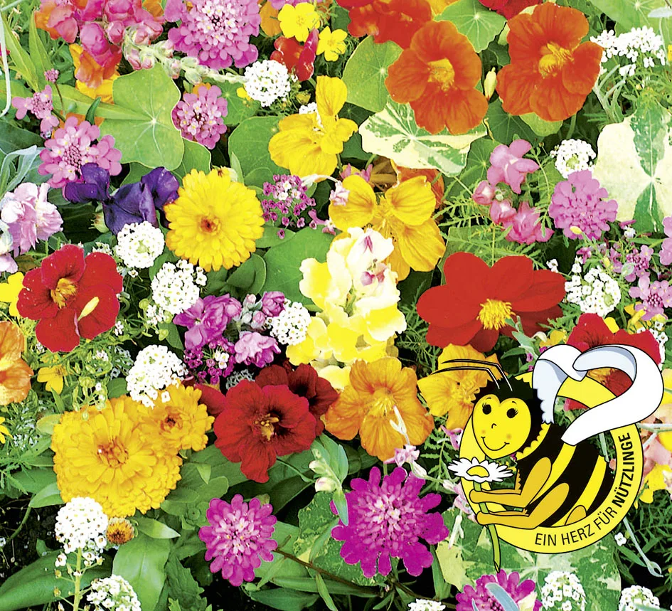 Last Minute Blumenmischung