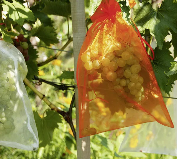 Obstschutz Säckchen, rot (10 Stück)