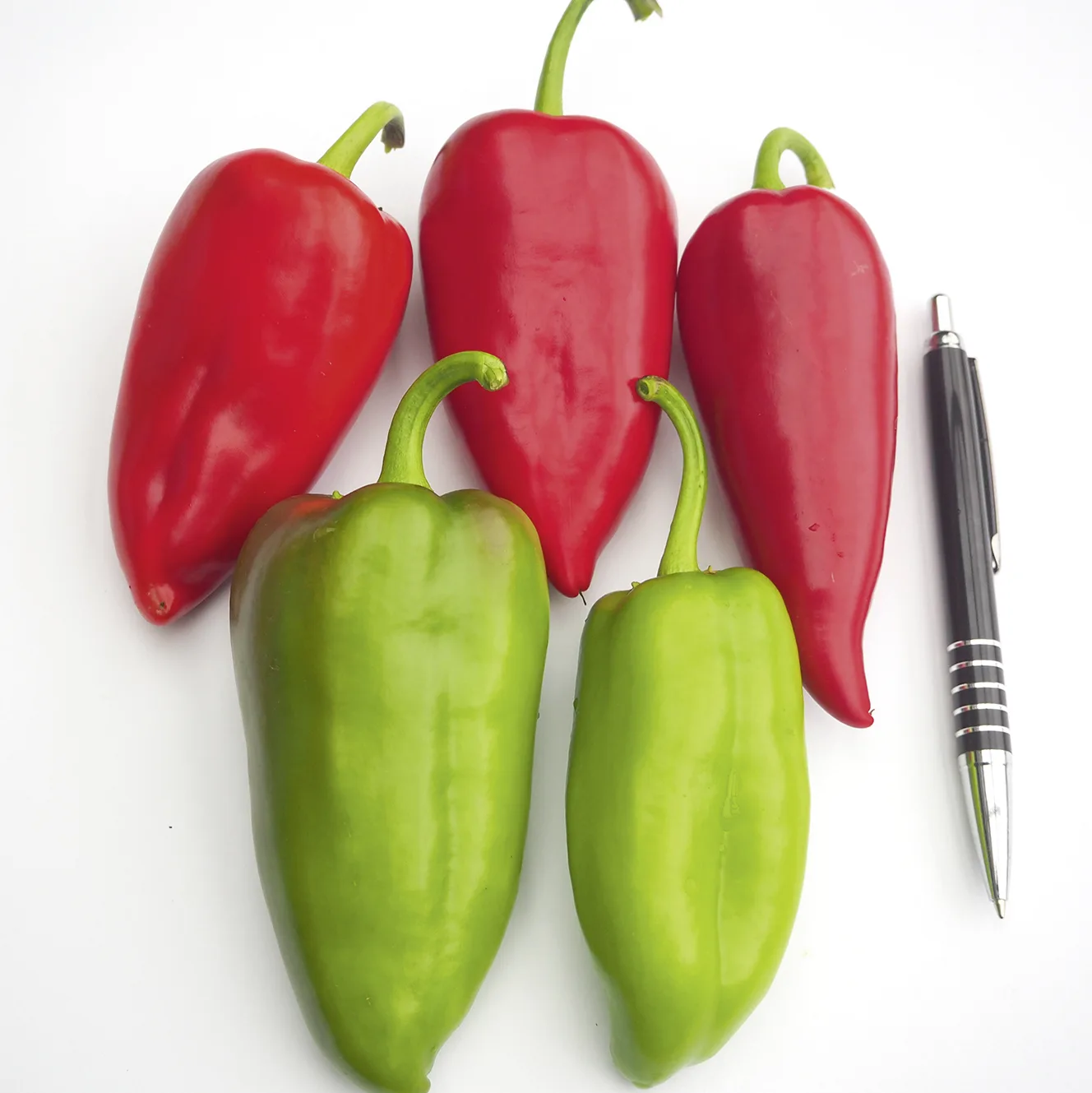 Paprika Karpia F1