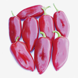 Paprika Kostas F1
