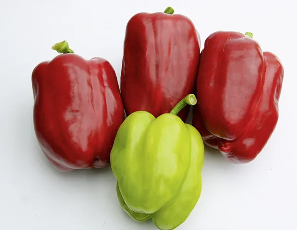 Paprika Neusiedler Ideal