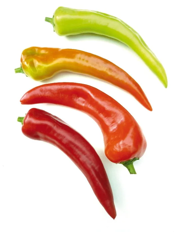 Peperonisamen Tabaluga F1