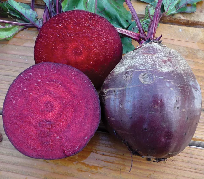 Rote Rübe Rote Kugel