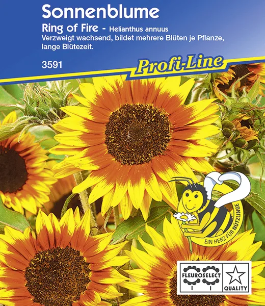 Sonnenblume Ring of Fire