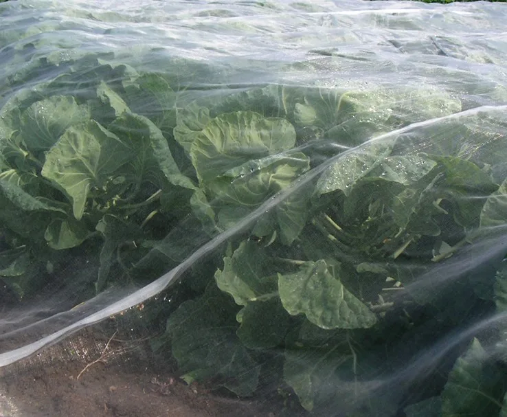 Spezialnetz (3,50m x 10m)