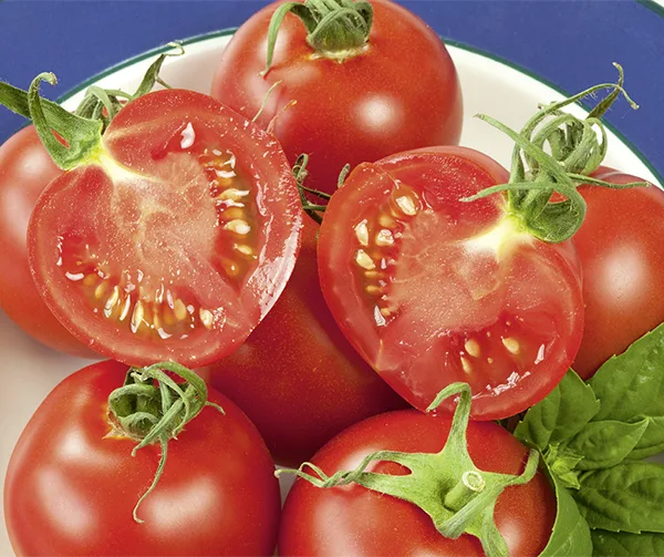 Tomate Cocktail Crush F1
