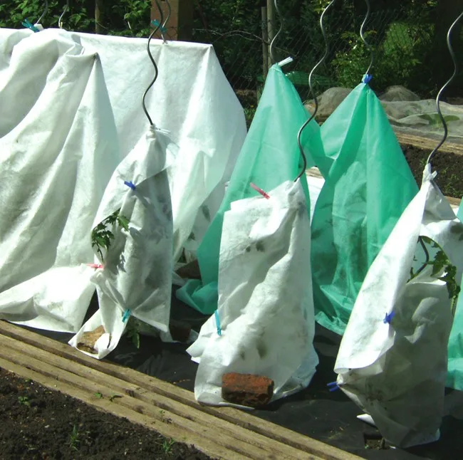 Tomaten Verfrühungsvlies (2,40m x 5m)