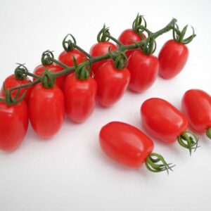 Tomatensamen Monterrey F1