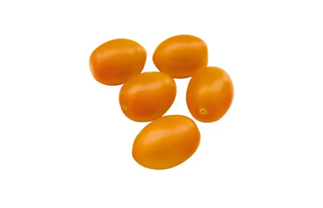 Tomatensamen Nugget F1