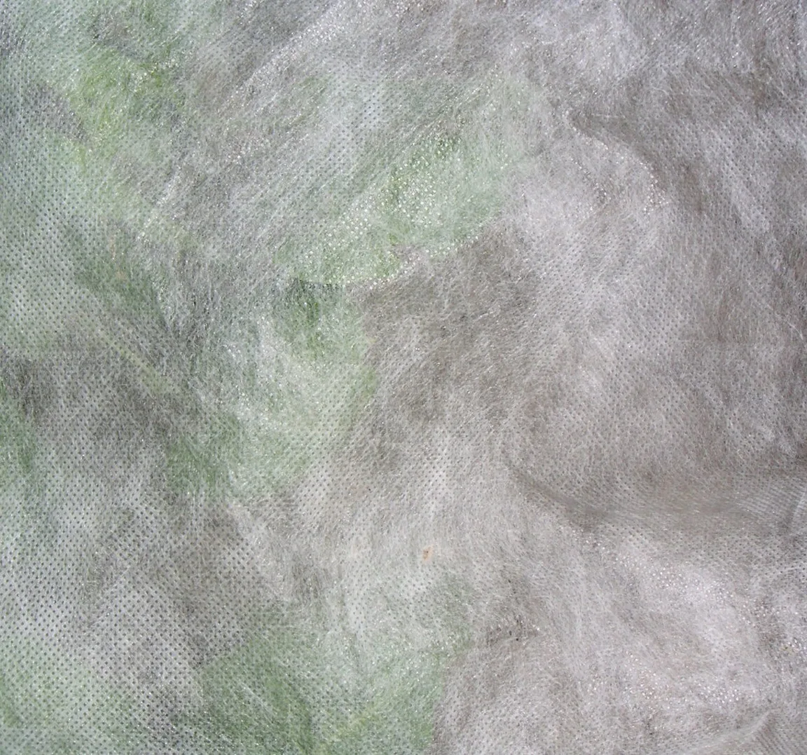 Wachstumsvlies 19 g (2,40m x 5m)
