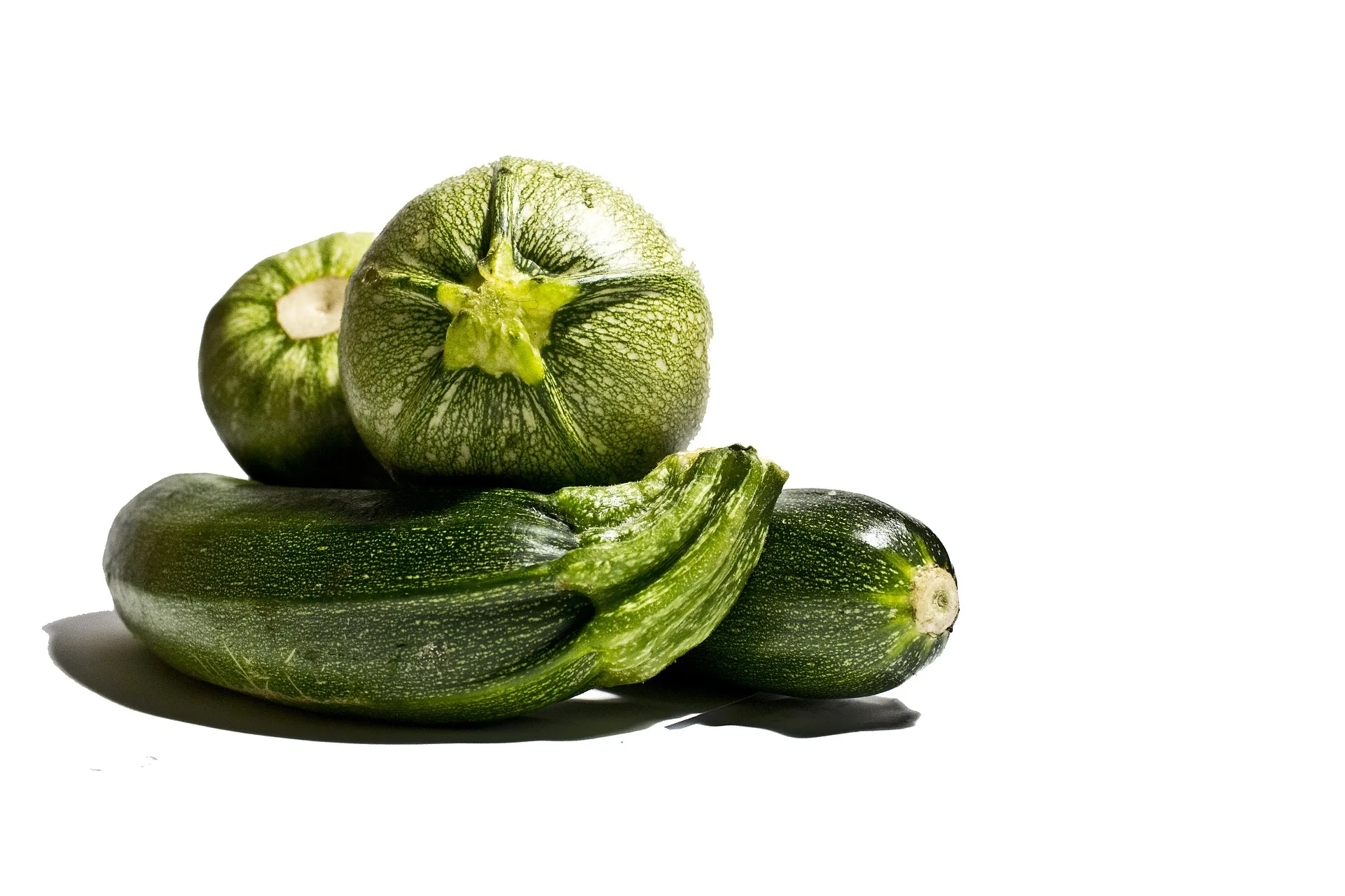 Zucchini Leila Bio