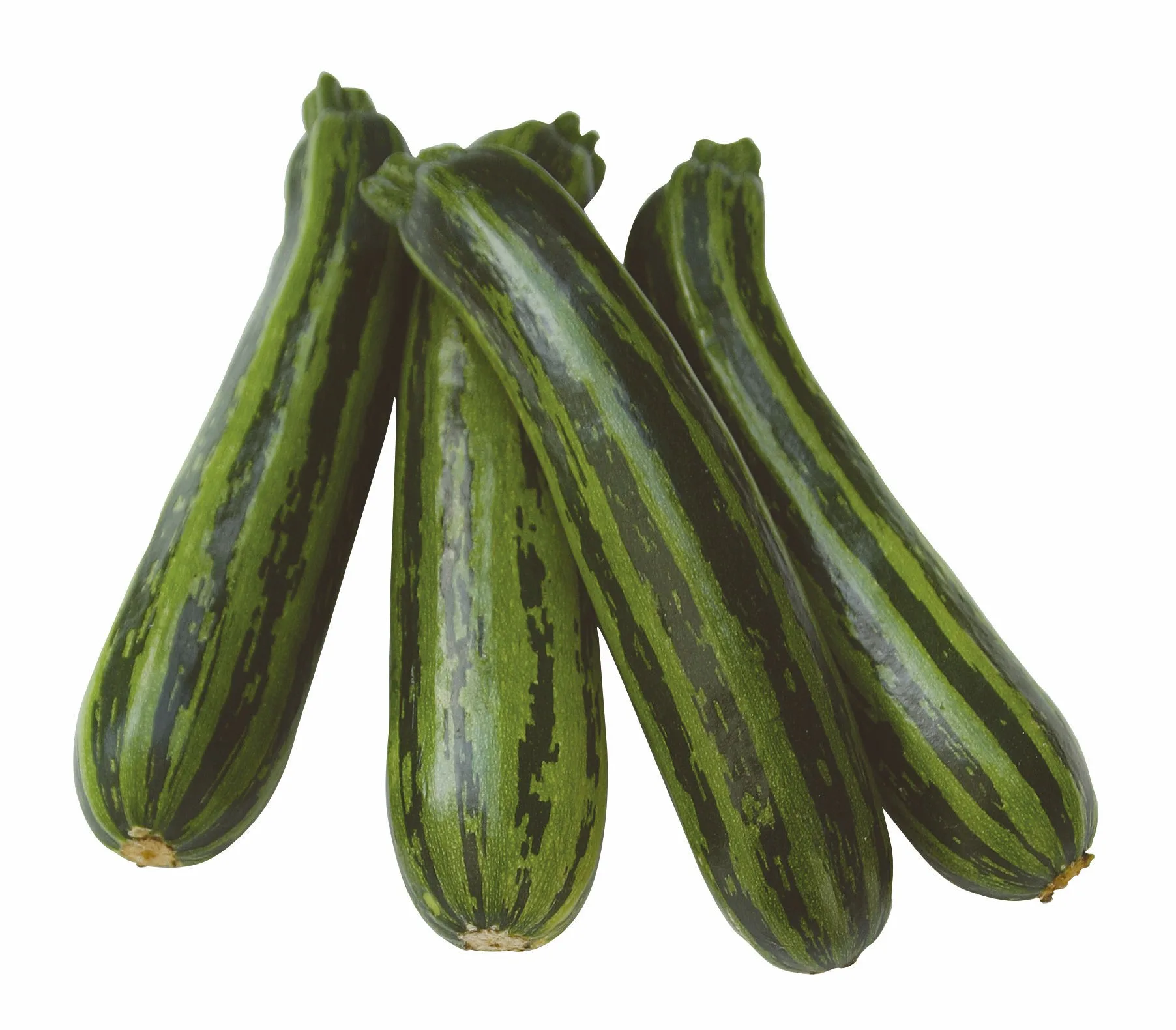 Zucchinisamen Green Tiger F1