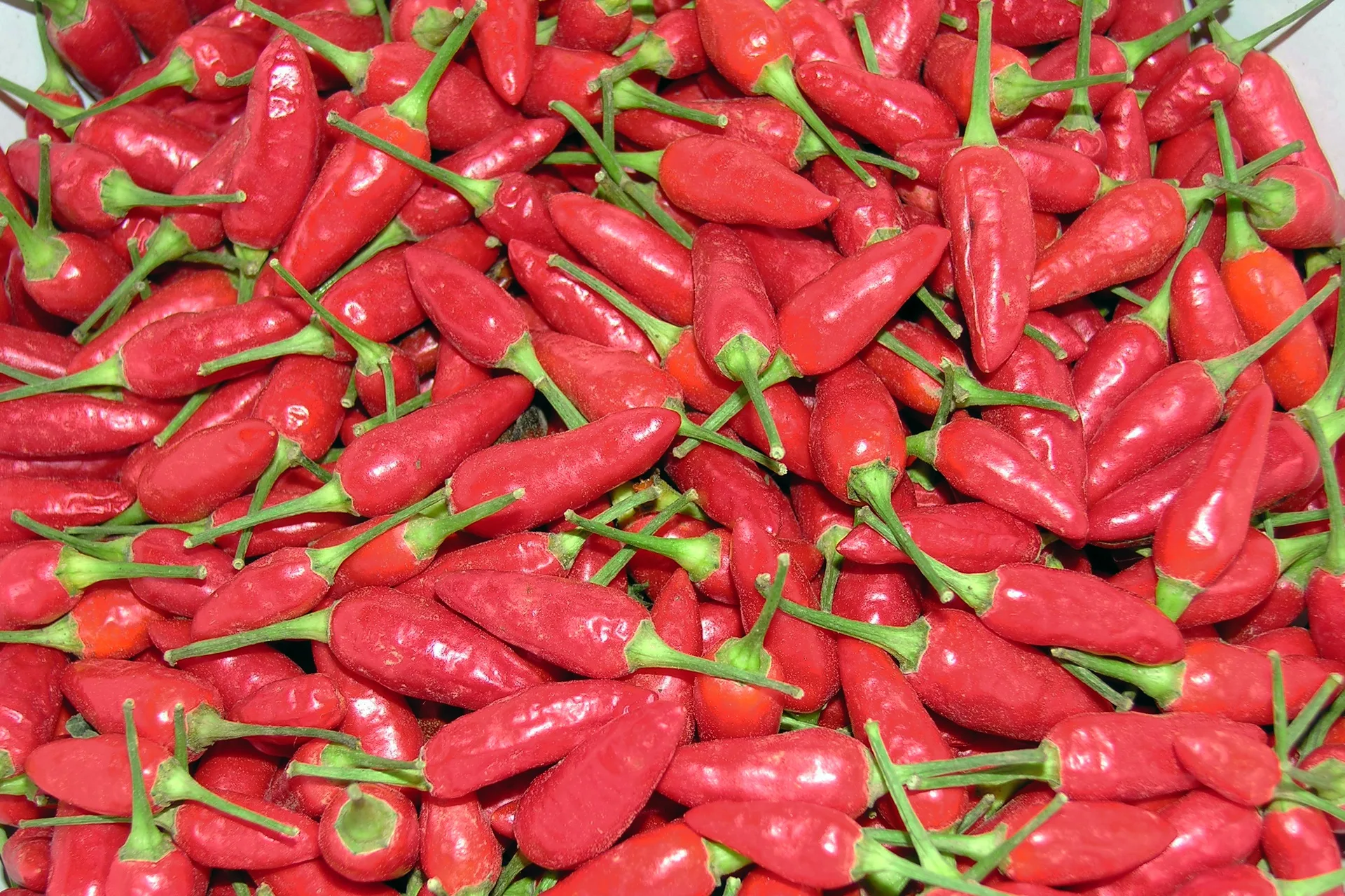 Chilis Overkill Box S (Karton) – Bild 6