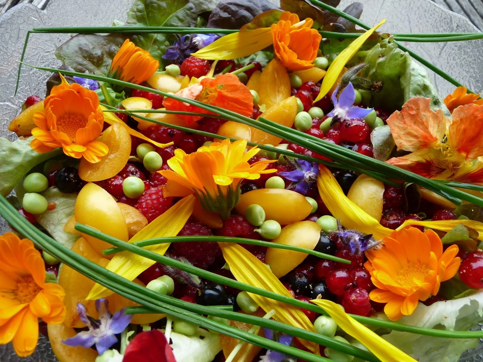 Essbare Blüten Saatgut-Box S (Karton) – Bild 5