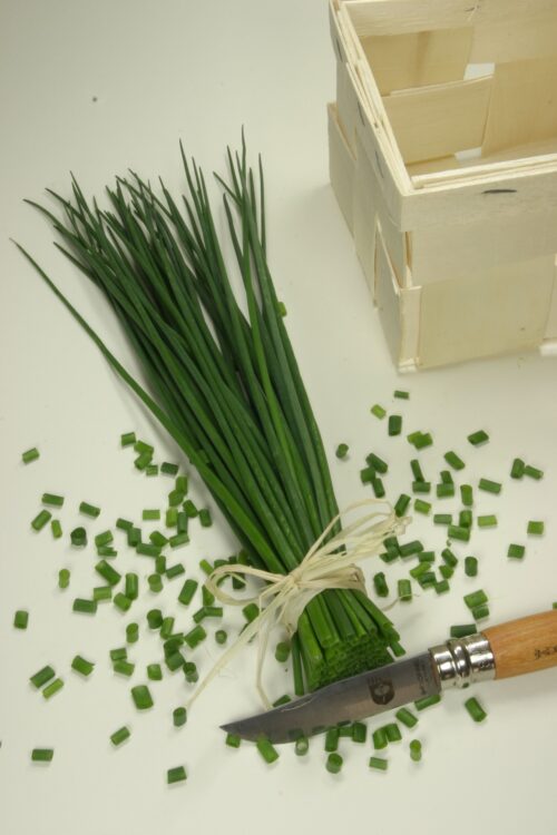 Essbare Blüten Saatgut-Box S Bio (Karton) – Bild 10