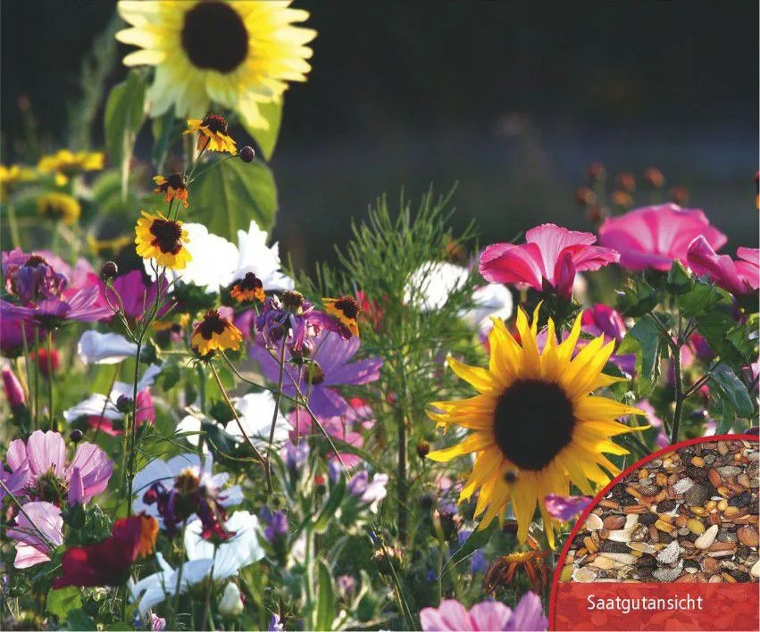 Alles Gute zum Muttertag! Blumenwiese Bienen-/Schmetterlingsweide – Bild 2