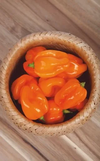 Alles Gute zum Vatertag! Chili Pfeffer Jalapeno M – Bild 2