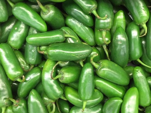 Hot & Spicy Saatgut-Box XS (Karton) – Bild 4