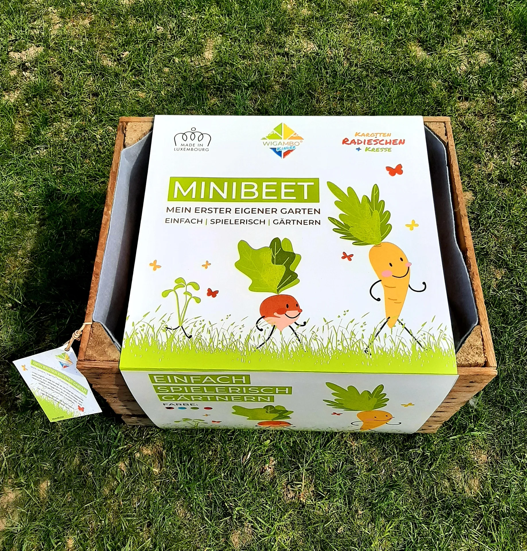 Kinder Mini Beet – Bild 2