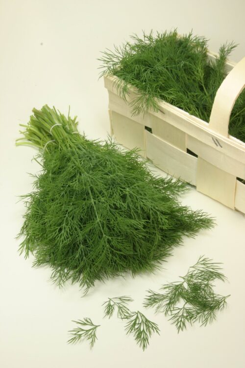 Kräutergarten Saatgut-Box S Bio (Karton) – Bild 7