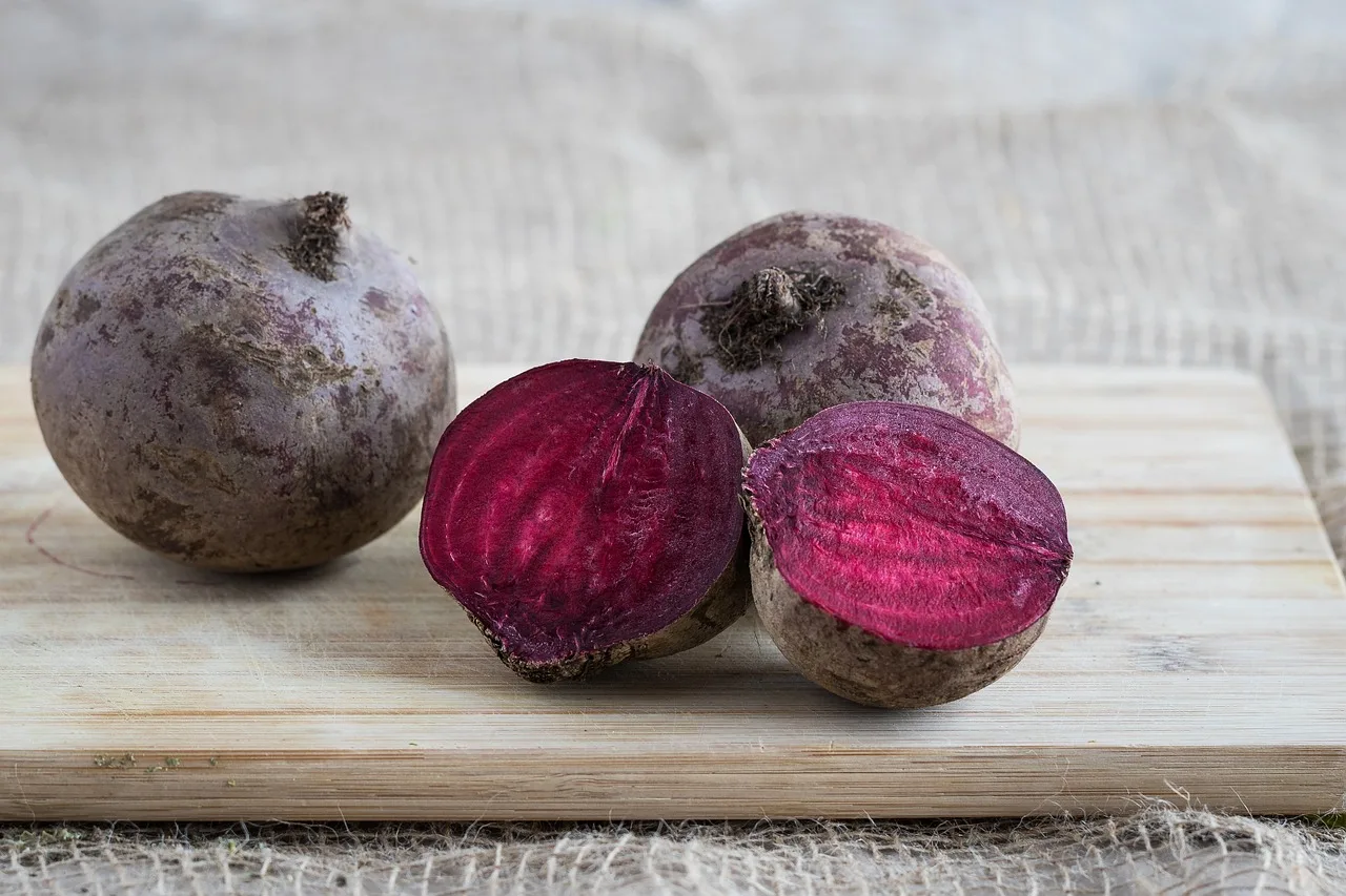 Rote Beete Rote Kugel Bio