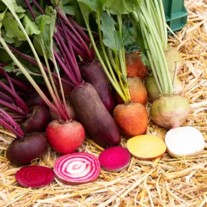 Rote Bete Mix Bio