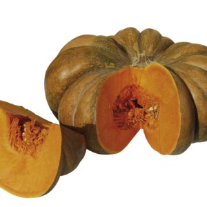 Kürbis Musquée de Provence Bio