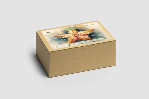 Adventskalender Bio Stern (Karton)