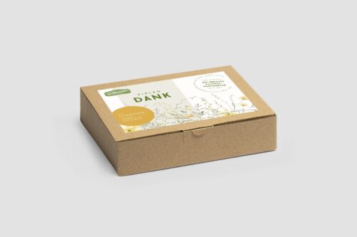 Geschenkbox Vielen Dank Karton