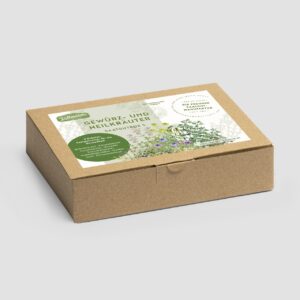 Gewürz- und Heilkräuter Box S (Karton)