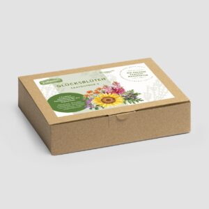 Glücksblüten Box S (Karton)