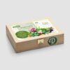 Herbst Saatgut-Box S BIO (Holzbox)